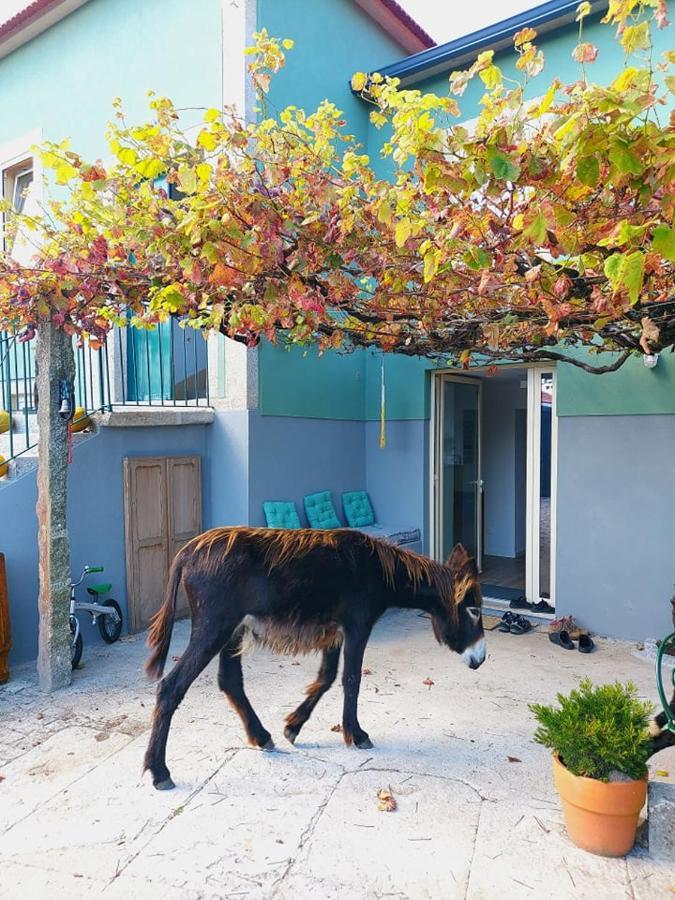 Quinta Da Quinhas Villa Vila Praia de Ancora Luaran gambar
