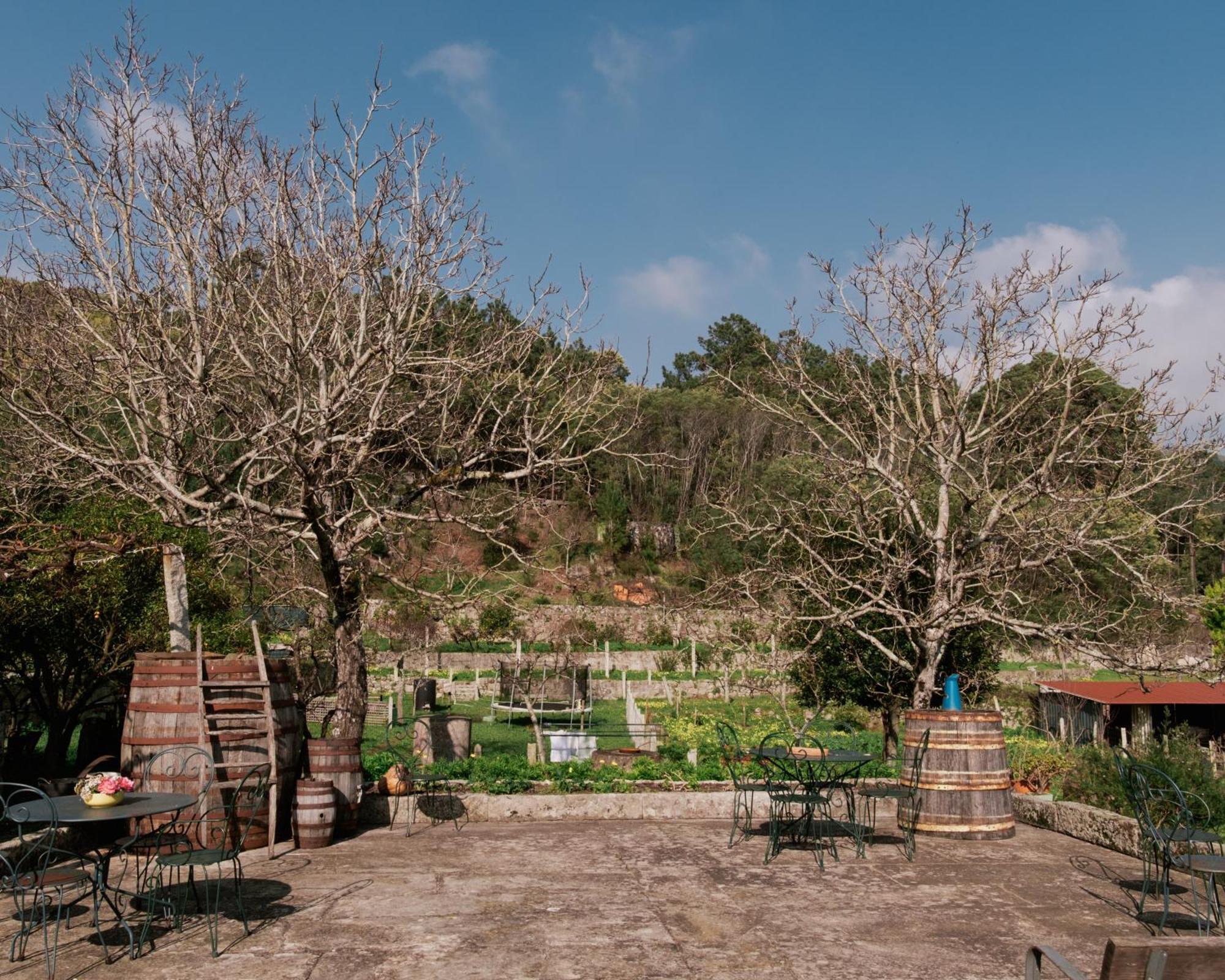 Quinta Da Quinhas Villa Vila Praia de Ancora Luaran gambar